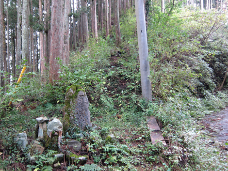 20191031hike (41)